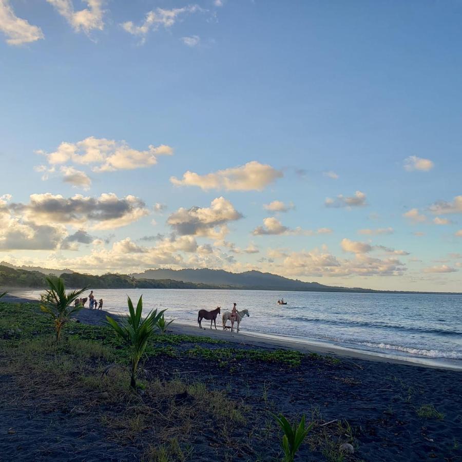 Playa Negra Brewing Beachfront Hotel Puerto Viejo de Talamanca Ngoại thất bức ảnh